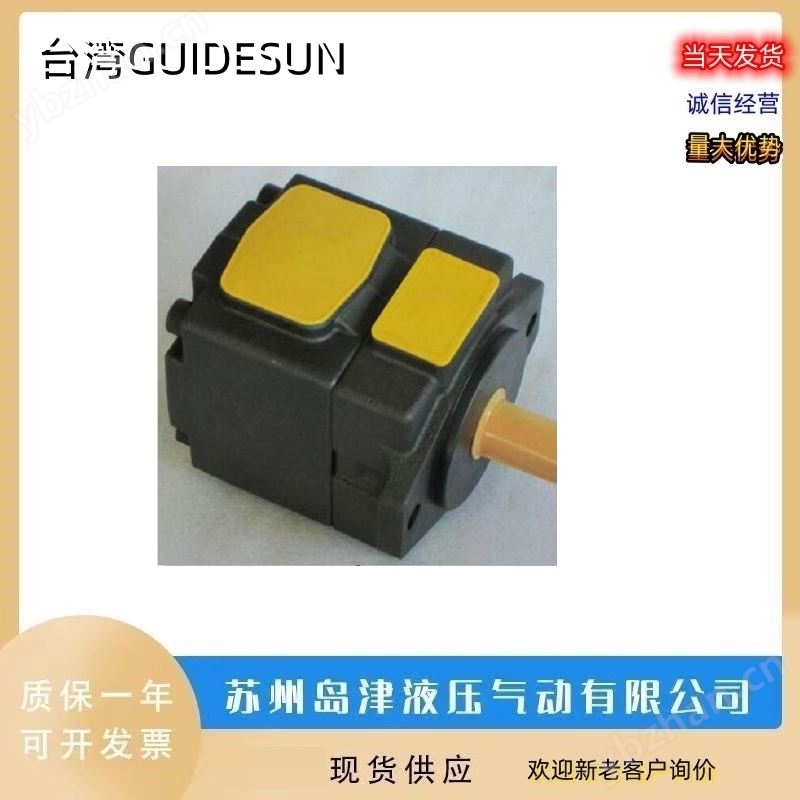 液压泵 GUIDESUN液压油泵中国台湾双联泵