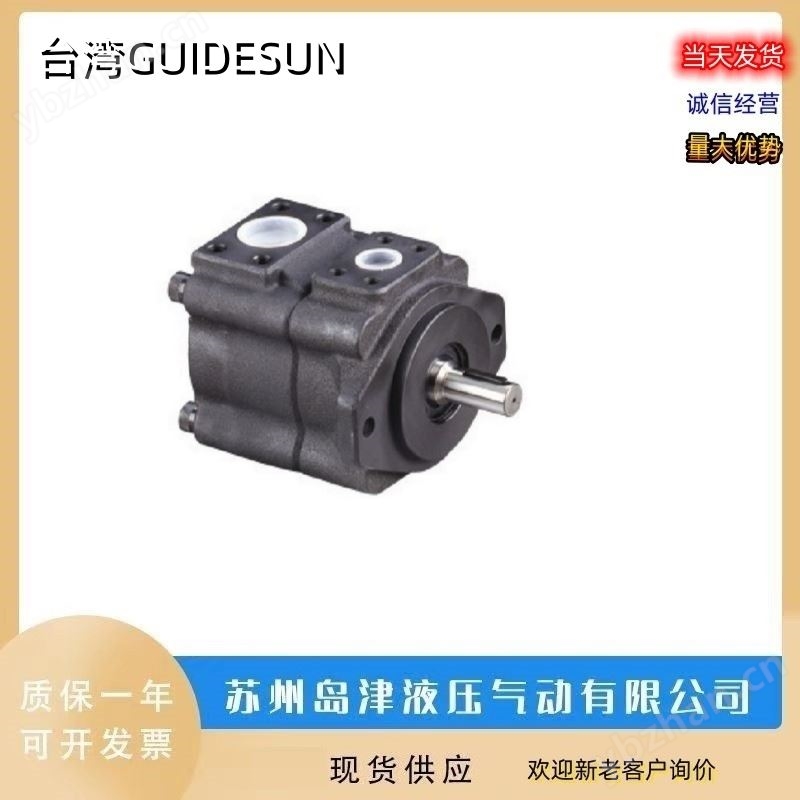 液压泵 GUIDESUN液压油泵中国台湾双联泵