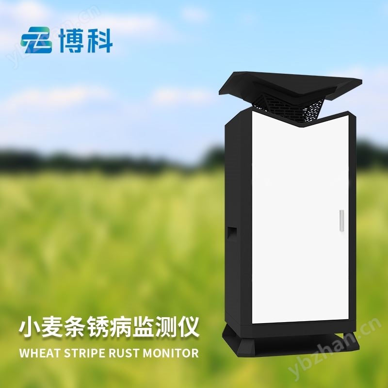 小麦条锈病防治技术