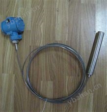 投入式缆式液位计 超声波物位计