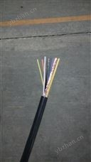 电缆DJYP2VR22（价格-厂家-报价-漆包线