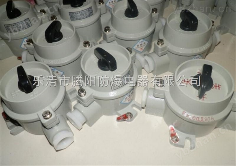 SW-10防爆照明开关性能参数 倒顺开关