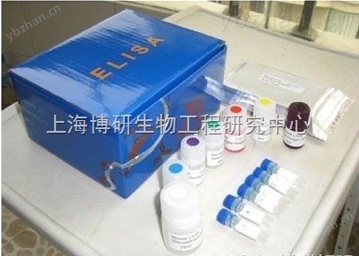 人幽门螺旋菌IgG（Hp-IgG）ELISA试剂盒