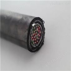 PTYV PTYV铁路信号电缆 PTYV电缆导体直径