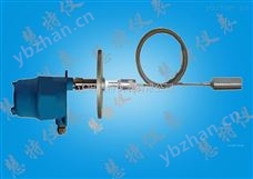 RF20- S4-X-XRF20- S4-X-X射频导纳连续物位计