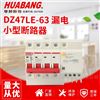 小型漏电 断路器DZ47LE-63  空开