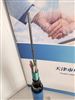 MGTS33-12B矿用光缆