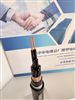 NH-KVVP22耐火钢带铠装控制电缆