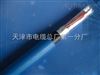 分屏蔽电缆DJYP2V