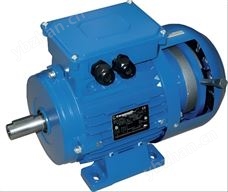 意大利Carpanelli电机MOT3-MA71a4 0.25kW