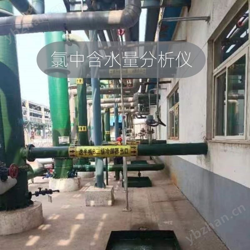氯气含水测量 氯含水分析仪  防爆型 在线式