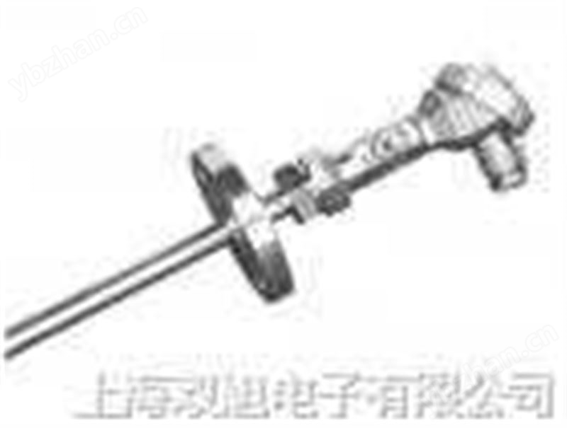 防腐热电偶,WRN-130F