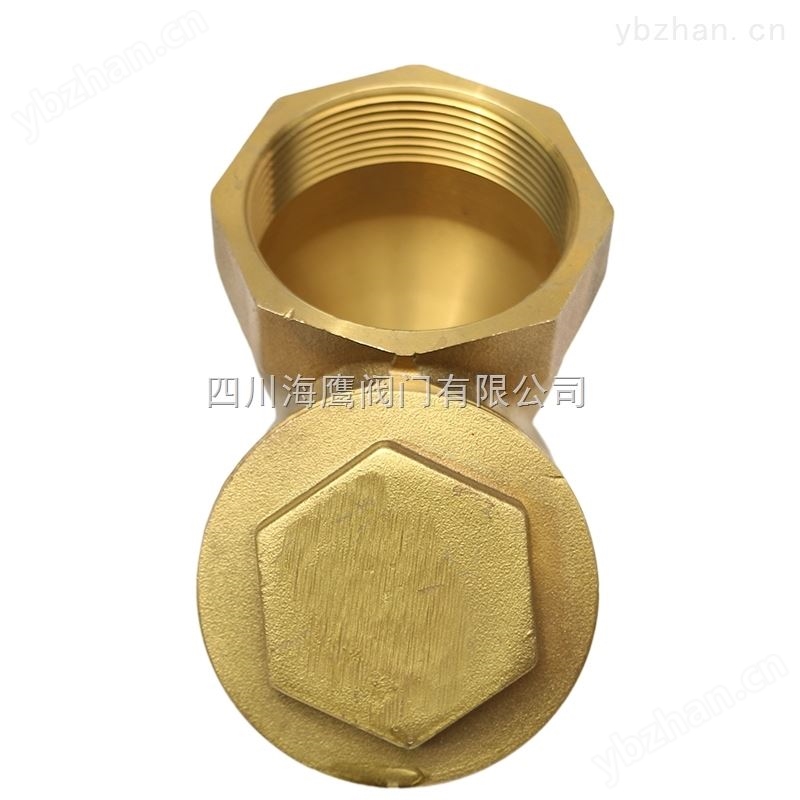 鑫海鹰全铜Y型固液分离过滤器GL11H-16-分水过滤器 仪器