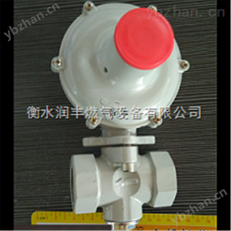 洛阳市润丰20方燃气调压器天然气调压器RTZ 燃气调压器箱