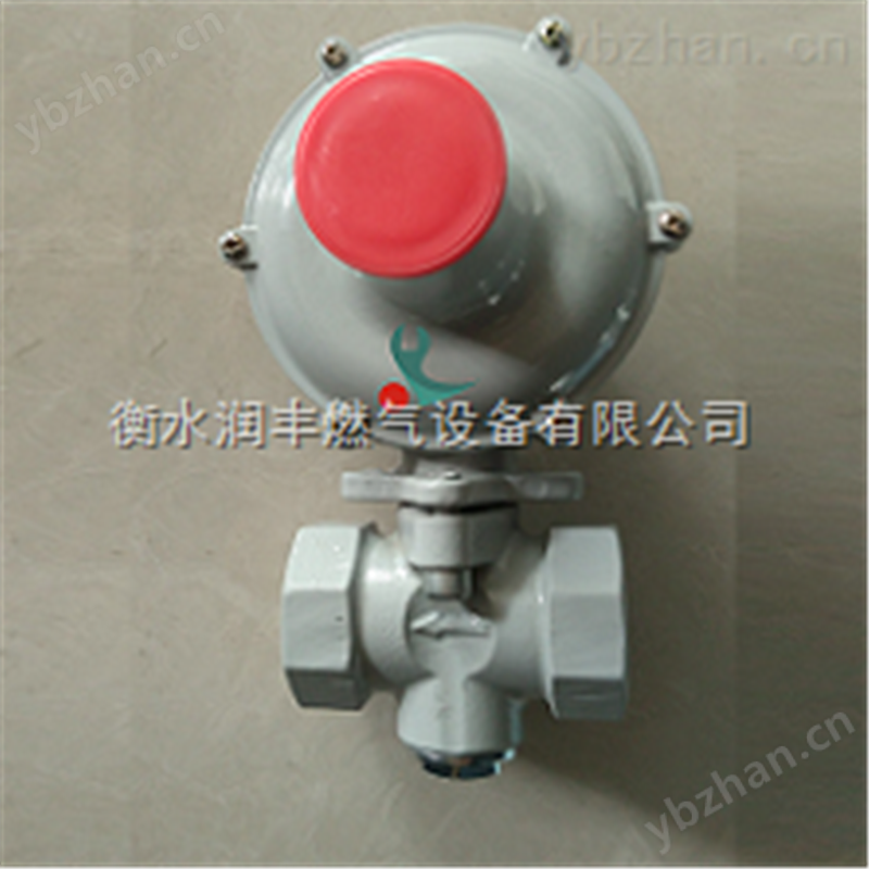 洛阳市润丰20方燃气调压器天然气调压器RTZ 燃气调压器箱
