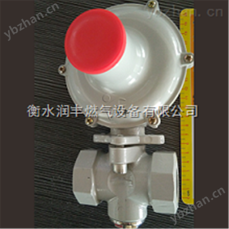 洛阳市润丰20方燃气调压器天然气调压器RTZ 燃气调压器箱
