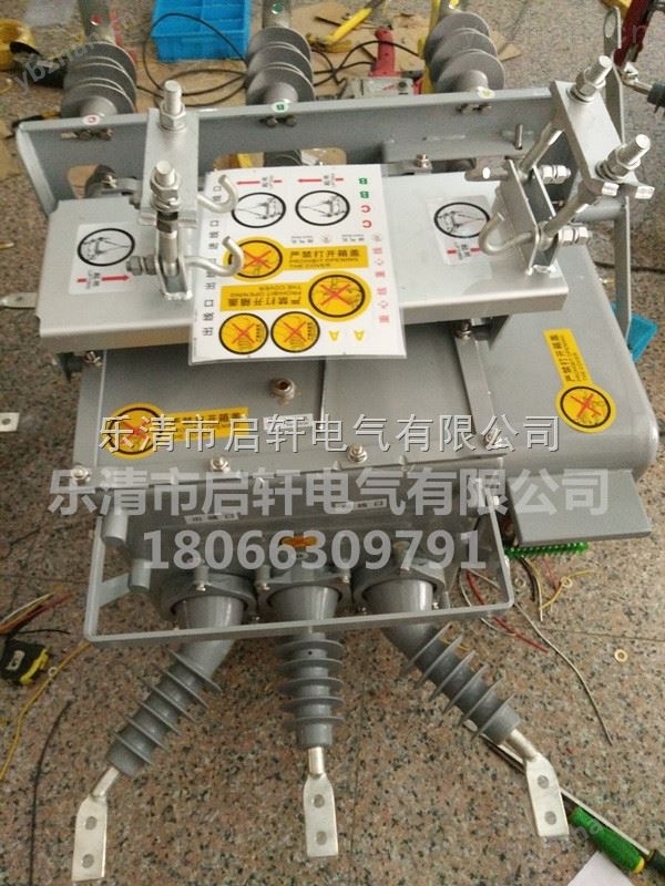供应ZW20-12F/630柱上分界断路器批发价-耐温压力开关