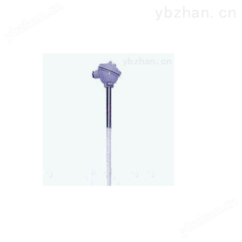 B型铂铑热电偶