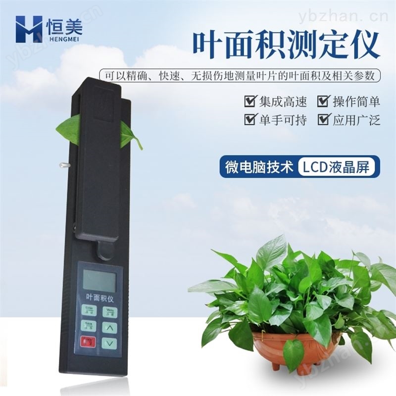 叶面积仪恒美