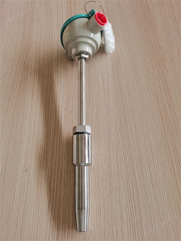 插入式温度传感器 TS500系列