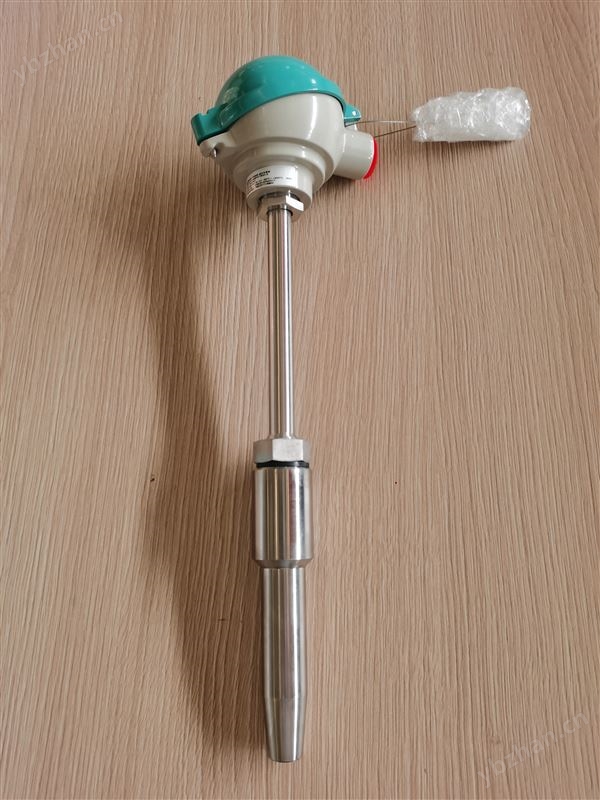 插入式温度传感器 TS500系列