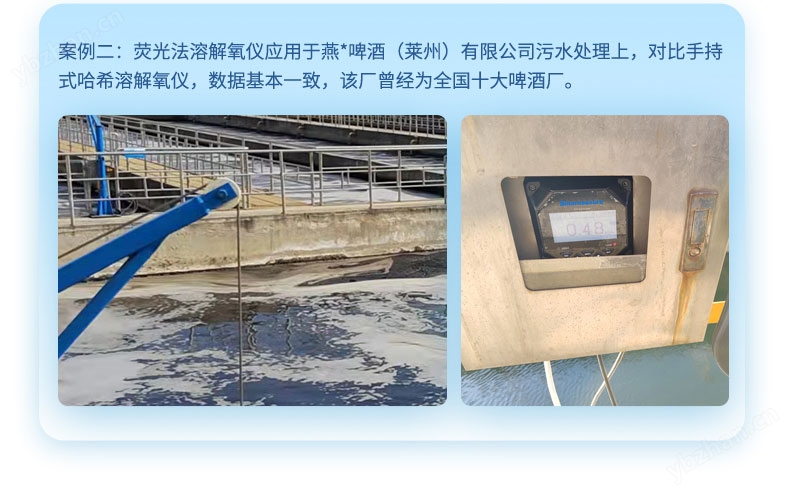 溶解氧仪/DO仪_污水、养殖水、自来水