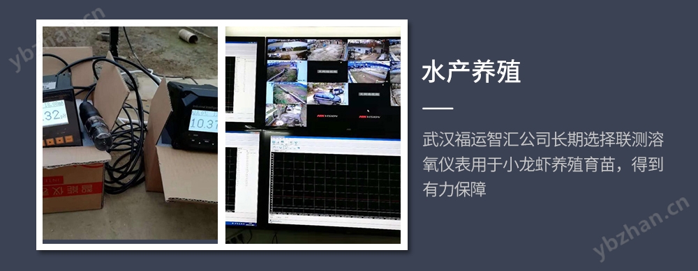 联测_SIN-DM2800 DO仪_膜法溶氧仪_环保污水