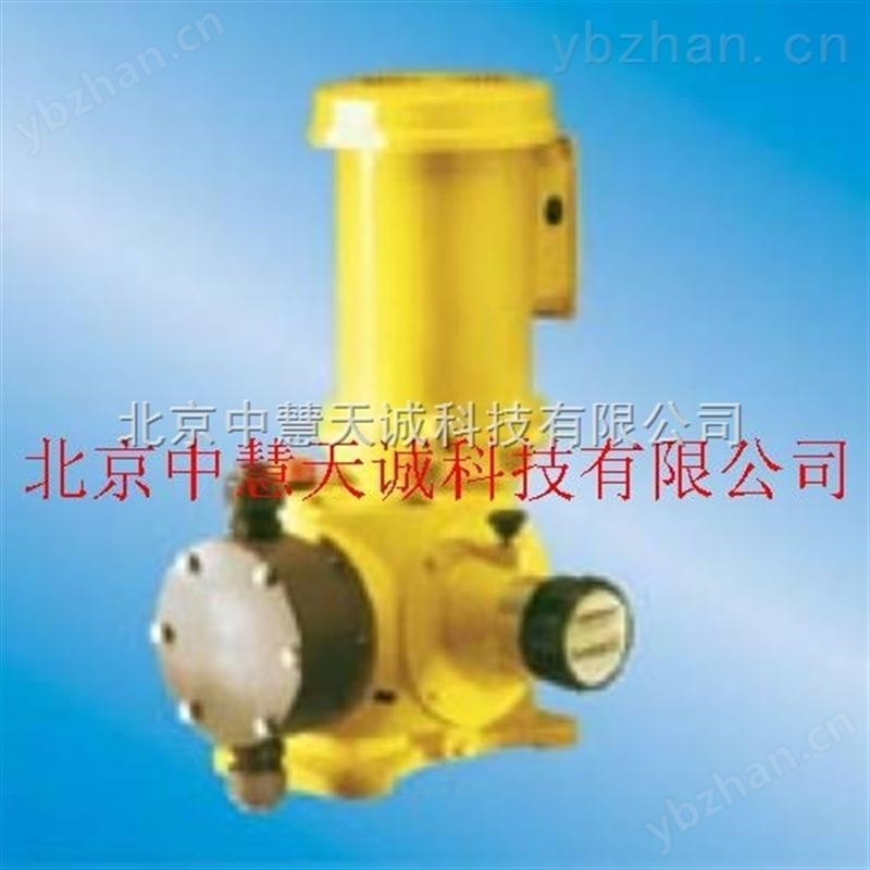 机械隔膜计量泵 美国  型号：VD/GM/GB-01