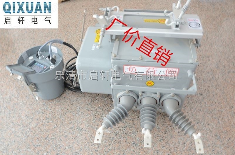 供应ZW20-12F/630柱上分界断路器批发价-耐温压力开关