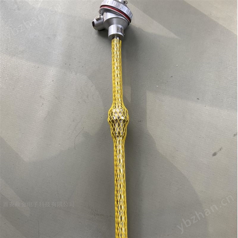 热电阻铠装温度变送器供应