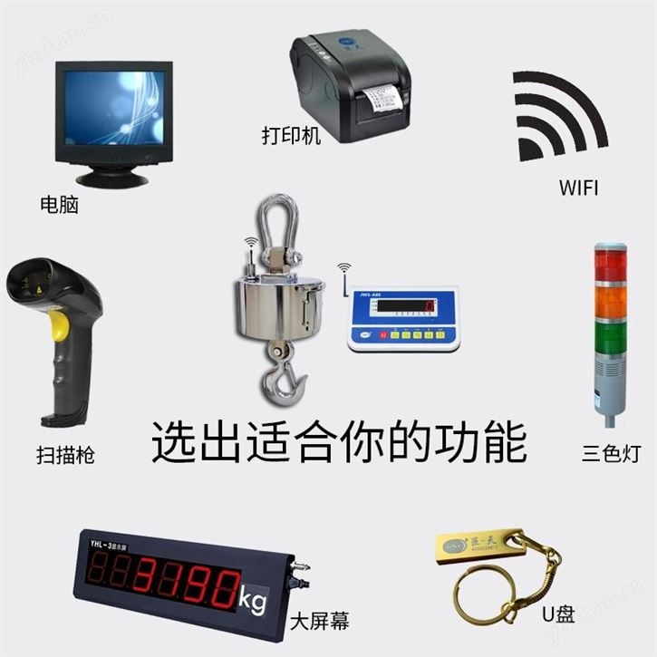 网口通讯电子吊秤