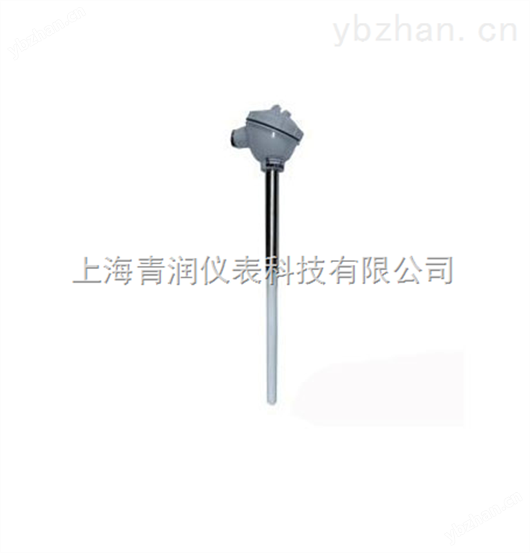 防腐热电阻-金属热电阻 热电阻