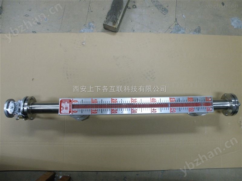 供应西安304内衬PTFE伺服侧装液位计厂家-伺服液位计 衬四氟液位计厂家