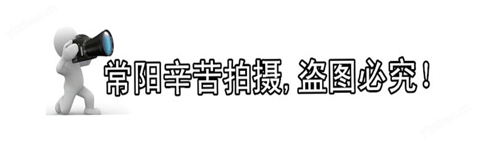 盗图必究1
