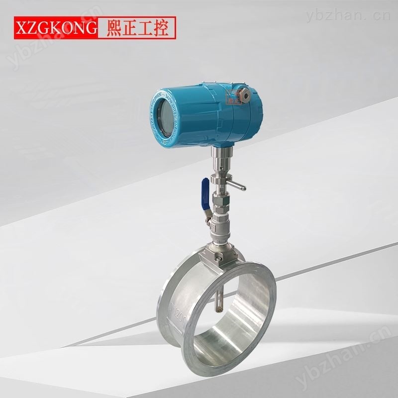 热式气体质量流量计压缩空气氧气氮气天然气