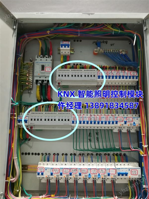 12路开关执行器E/S 12.16.20.1-智能照明