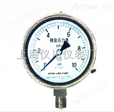 YE-100BF不锈钢膜盒压力表
