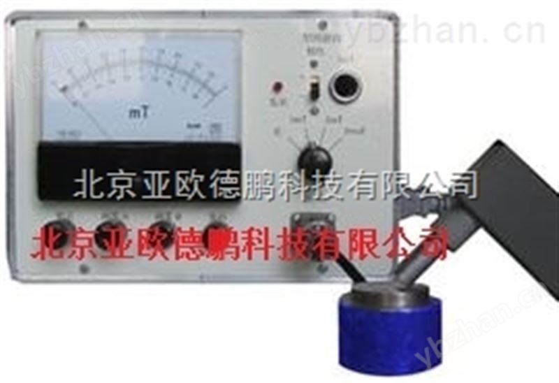 闪光报警控制仪/闪光报警仪/闪光报警器