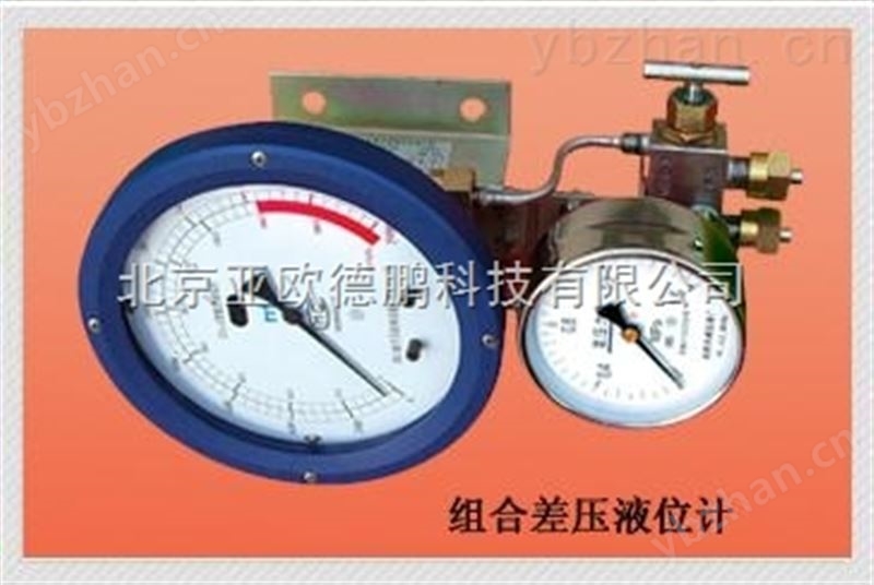 组合液位计/组合差压液位计