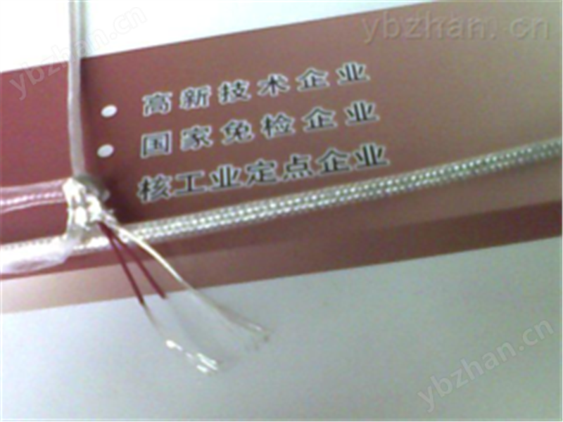 PT100热电阻镀银仪表屏蔽导线，绝缘导线AFF-250