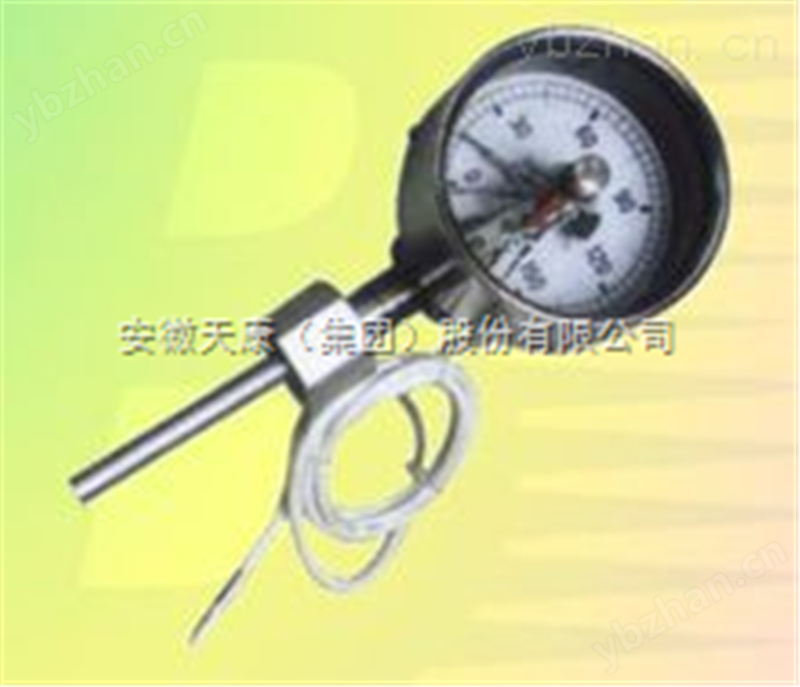 数字双金属温度计wss-481