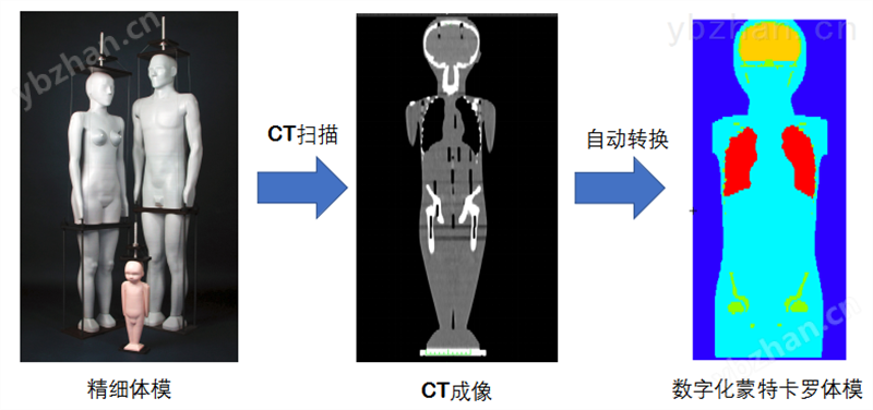 座椅式器官计数器内照污染测量仪