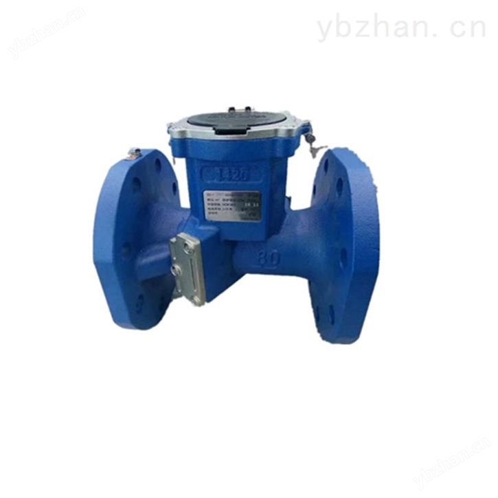 无线远传双声道水表TDS-100W-SSY-200