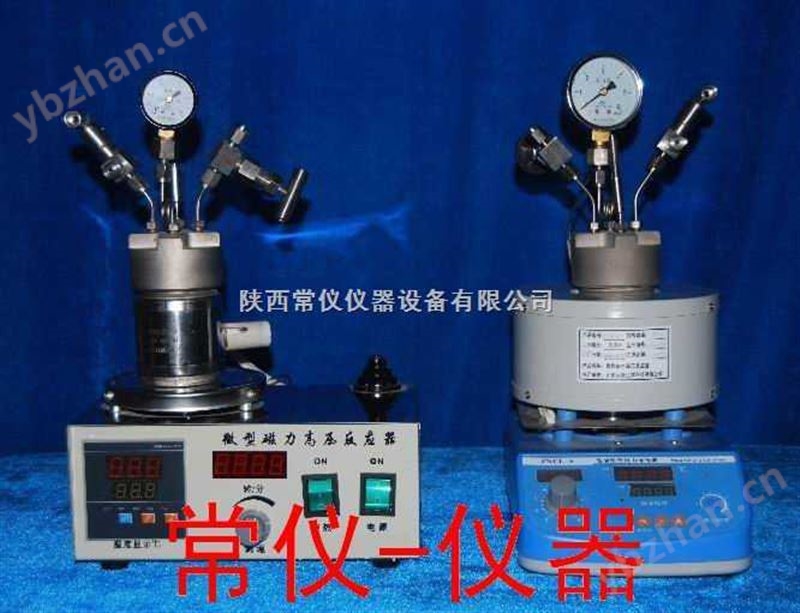 加氢反应釜 湖南-常仪仪器