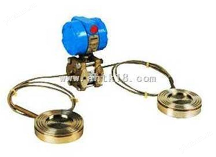 1151DP/GP带远传的差压/压力变送器-差压变送器