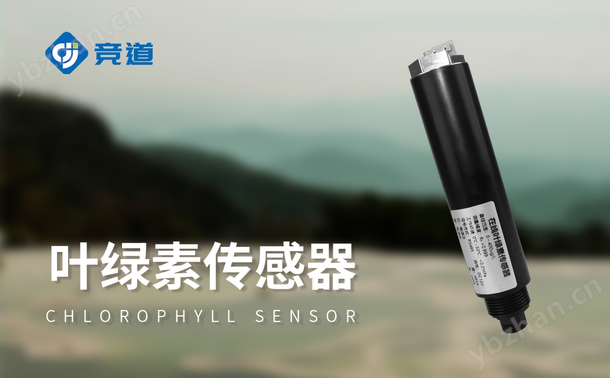 叶绿素传感器