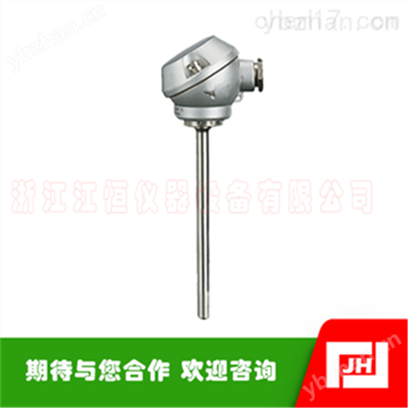 JUMO久茂902130插入式传感器 温控传感器