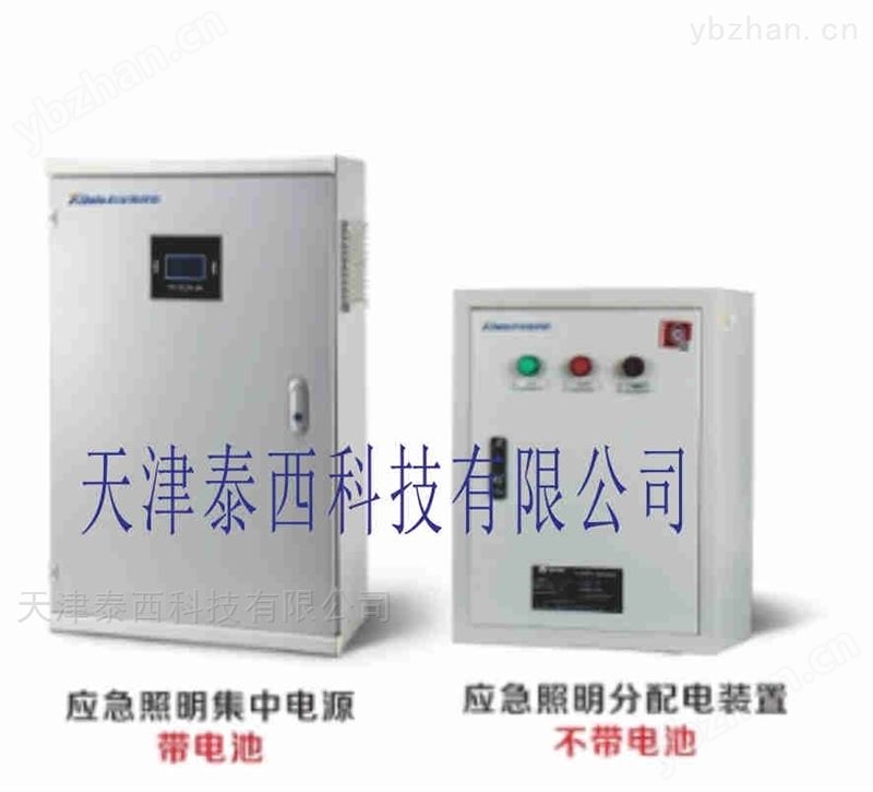 A型应急照明配电箱NT-FP-8079分配电装置 电源变换器