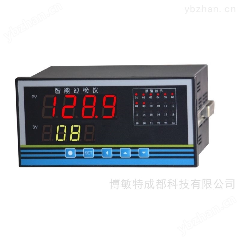 DM1216 抗干扰型智能多通道PT100温度巡检仪