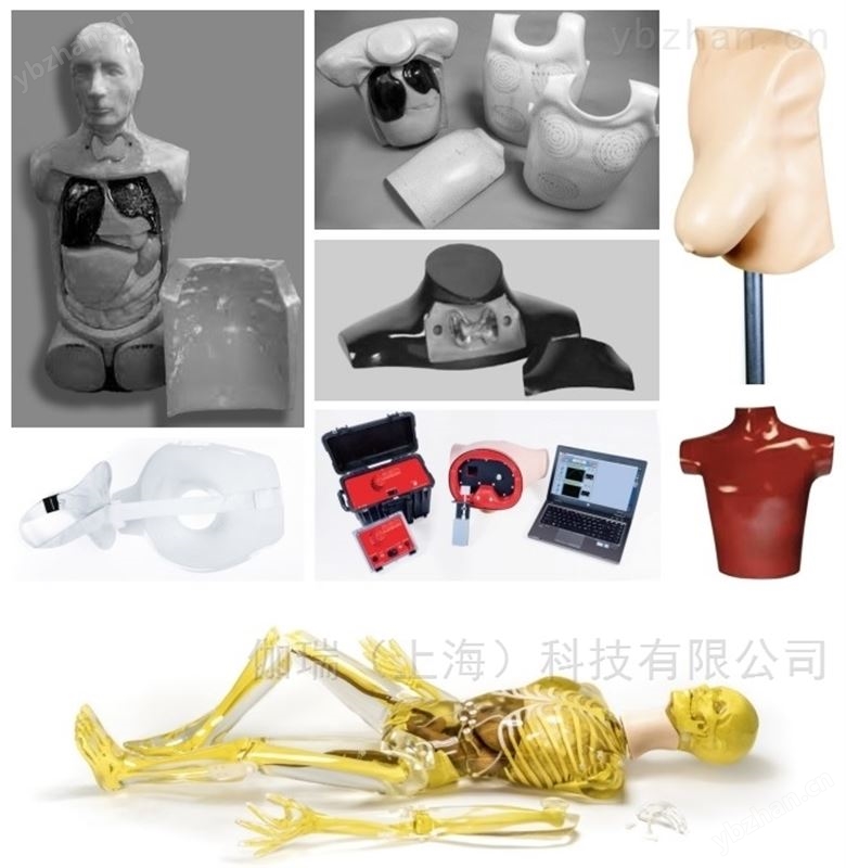 美国RSD治疗胸z模体